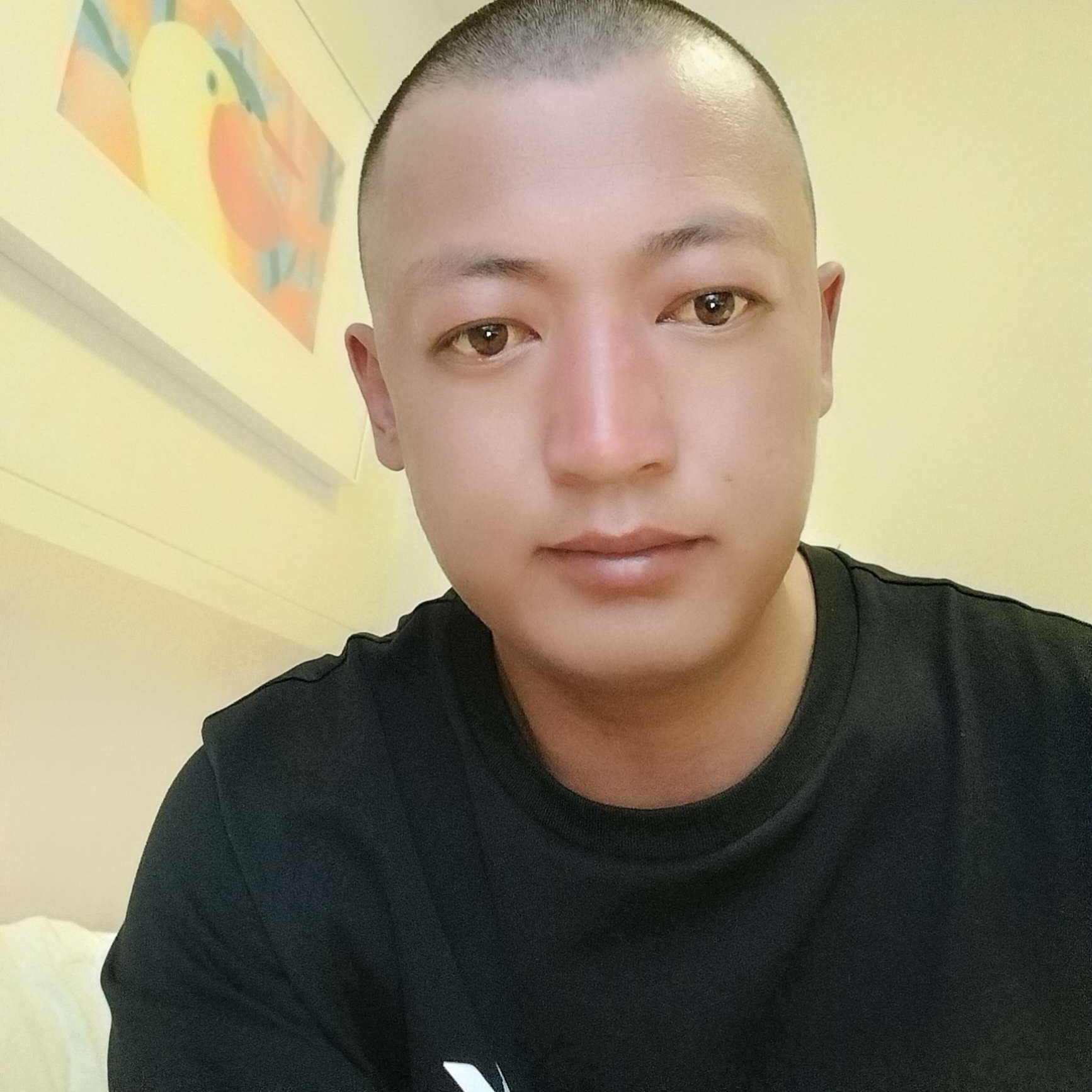 一木迎风